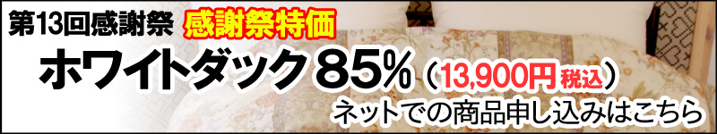 第13回感謝祭特別商品:BASEホワイトダック購入